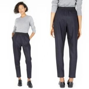 Everlane Wool Cashmere Pinstripe Trouser Pants